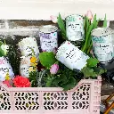 mum5.webp