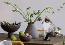 carafe5.webp